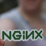 Unleashing the Power of Nginx Website Hosting: A Deep Dive into Performance Optimization